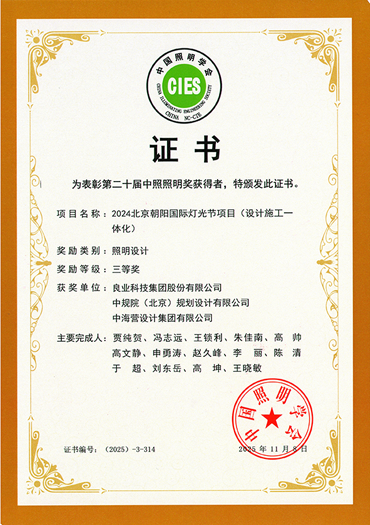 2025年中照奖-设计奖